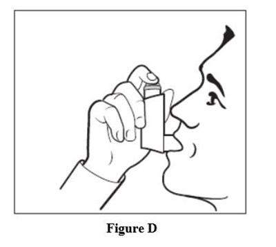 Figure D (Figure D)